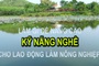 Tọa đàm: Tăng cường xây dựng kỹ năng nghề trong ngành nông nghiệp