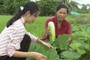 Bạc Liêu: Mô hình đa canh trên đất bờ vuông cho cuộc sống "khấm khá"