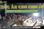 Video: Cách làm thức ăn cho chim cút theo từng giai đoạn một cách chi tiết