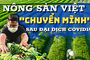 Toàn cảnh bức tranh nông sản Việt “chuyển mình” sau đại dịch Covid-19