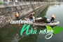 Chuyển động Nhà nông 22 /11: Đề xuất cho đánh bắt cá trên hồ Tây để giảm lượng cá chết