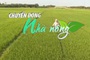 Chuyển động Nhà nông 21/4: Bệnh đạo ôn cổ bông “bùng phát” tại Nam Trung Bộ