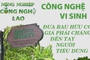 NÔNG NGHIỆP CÔNG NGHỆ CAO: Công nghệ vi sinh đưa rau hữu cơ giá phải chăng đến tay người tiêu dùng