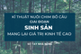 SỔ TAY NHÀ NÔNG: Kỹ thuật nuôi bồ câu Pháp sinh sản mang lại giá trị kinh tế cao