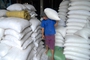 Giá gạo xuất khẩu  thấp kỷ lục